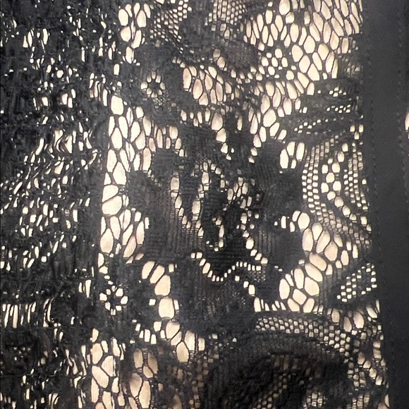 Torrid Black Lace Corset Bustier Top Boned Sheer Lace Y2K Going Out Top Sz 2X - Picture 4 of 10